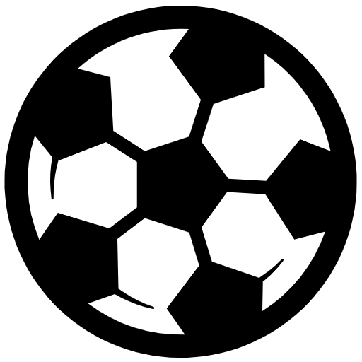 国际友谊